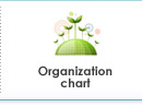 Organization chart